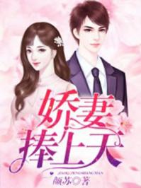 嬌妻捧上天封面