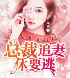 總裁追妻休要逃全文免費(fèi)閱讀封面