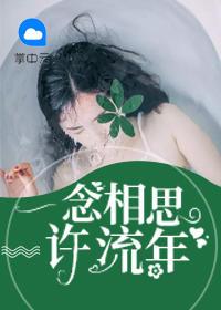 一念相思許流年封面