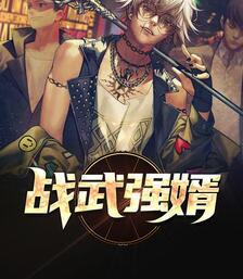 戰(zhàn)武強婿封面