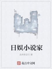 日娛小說家封面