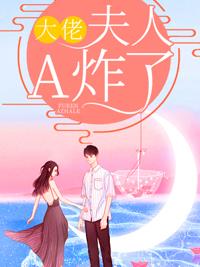 財(cái)閥大佬您的夫人a炸了小說(shuō)封面