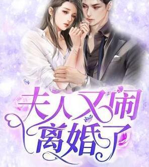 夫人又鬧離婚了封面