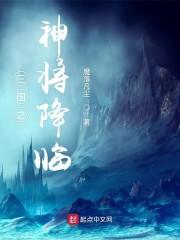 三國之神將降臨封面