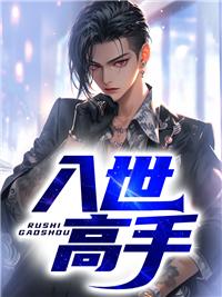 入世高手封面