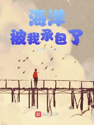 全集寧夜辰洛如纓封面