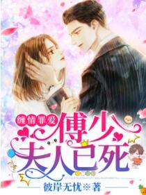 陸厭雨傅易云小說(shuō)封面