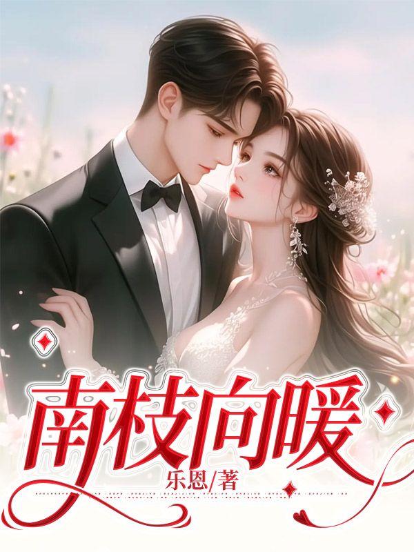 南枝向暖封面