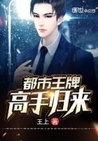 李子恒姜婉小說封面