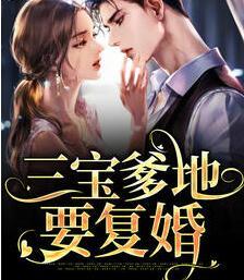 三寶爹地要復婚封面