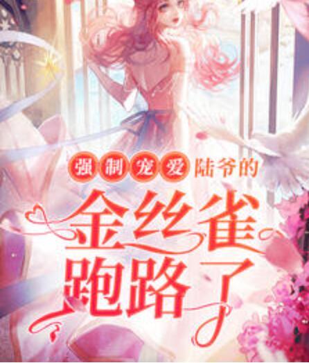 強制寵愛：陸爺?shù)慕鸾z雀跑路了封面