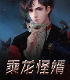 上門(mén)女婿韓東封面