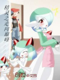 精靈之走向巔峰封面