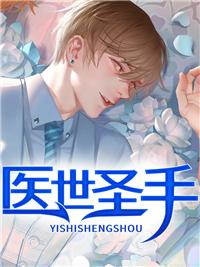 醫(yī)世圣手封面
