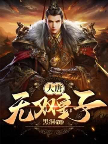 代王李簡(jiǎn)小說(shuō)封面