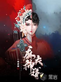 九天神婿陳黃皮封面