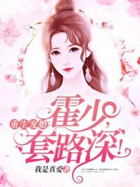 宋辭霍慕沉封面