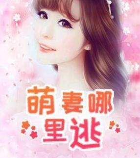 顧總的荒野玫瑰封面