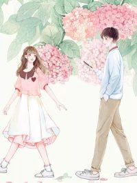 許你一世煙火全文免費閱讀封面