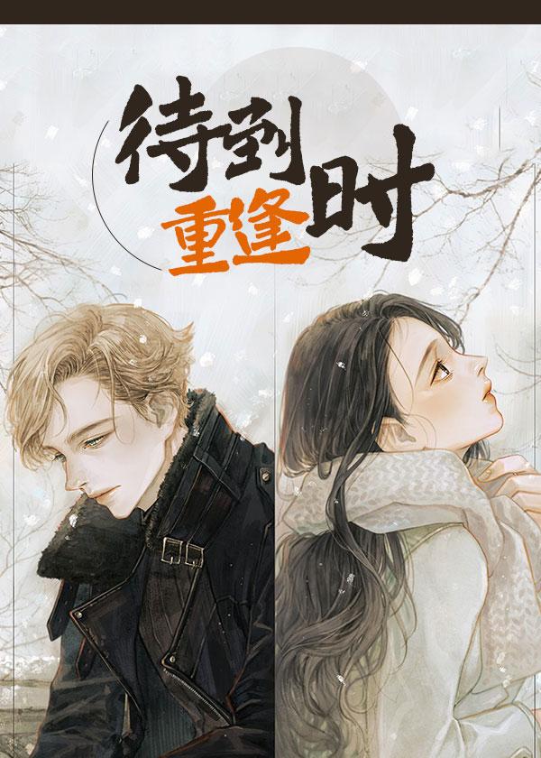 待到重逢時(shí)封面