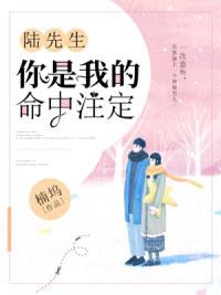 3989413趙斐盛錫霆封面