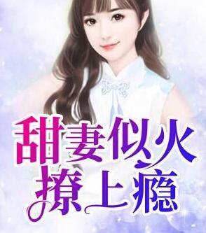 溫夏戰(zhàn)司宴小說免費閱讀封面