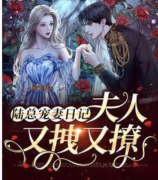 陸總寵妻日記：夫人又拽又撩封面