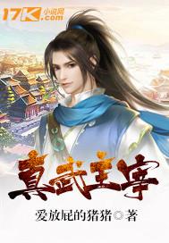 火定終身小說全文免費閱讀封面