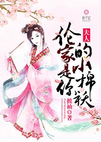 不乖江心霍恒小說大結(jié)局封面