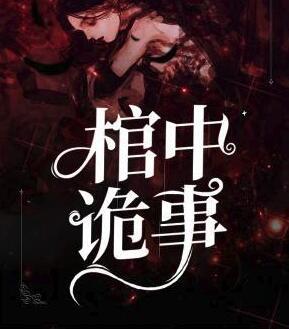 小說夫人路線完整版免費(fèi)閱讀封面