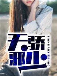 天驕邪少封面