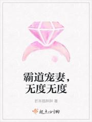 齊飛楊墨韻封面