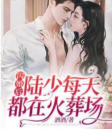 閃婚后,陸少每天都在火葬場全文免費閱讀封面