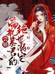 柳皇后秦淵封面