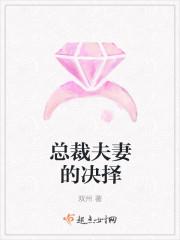 獨留清風醉楚蕓蕭齊煜封面