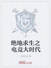 美女總裁的終極保鏢楊天封面