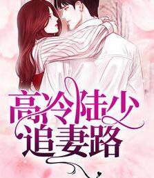 高冷陸少追妻路封面
