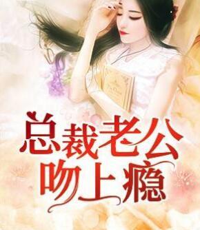 總裁老公吻上癮封面