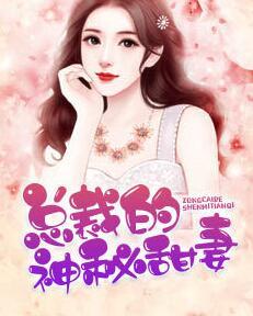 總裁的神秘甜妻封面