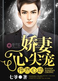 他似云海之上封面