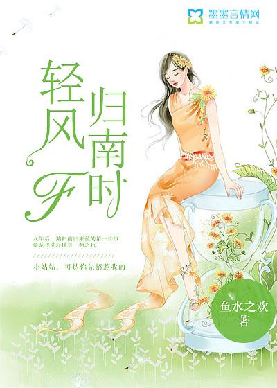 輕風(fēng)歸南時(shí)封面