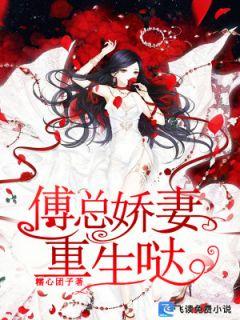 姜青檸傅時承封面