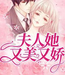 顧易檸傅寒年封面