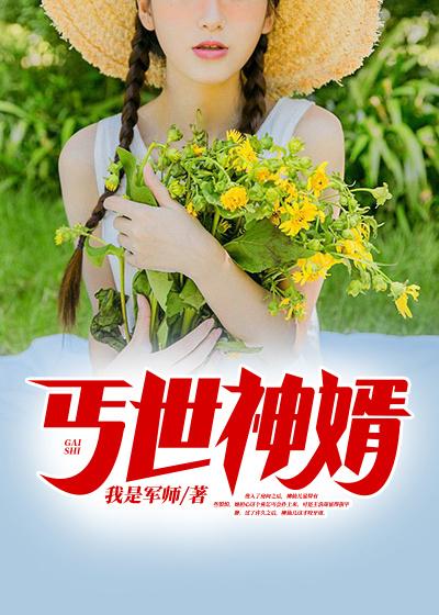 丐世神婿封面