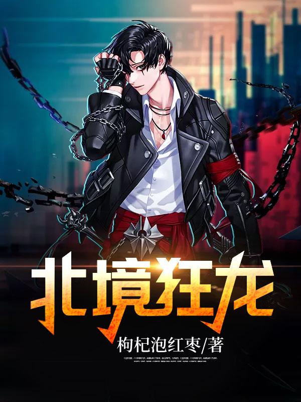 北境狂龍封面