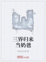 徐初然傅臨封面