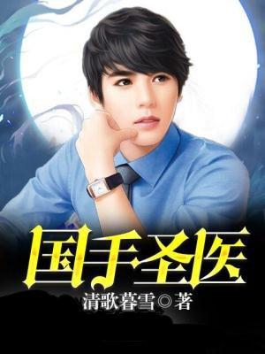 國手圣醫(yī)封面
