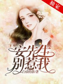 鄭欣安少御封面