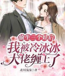 主角葉晚晚皇甫修閻小說免費(fèi)閱讀封面