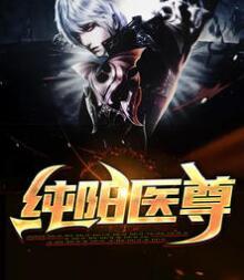 純陽醫(yī)尊封面